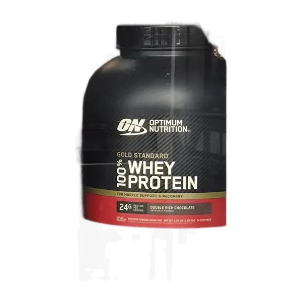 Gold Standard 100% Whey — Double Rich Chocolate · 24 servicios